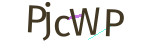 CAPTCHA verification code