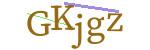 CAPTCHA verification code