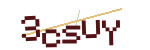 CAPTCHA verification code