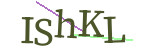 CAPTCHA verification code