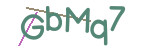 CAPTCHA verification code