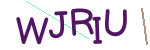 CAPTCHA verification code