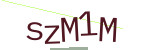 CAPTCHA verification code