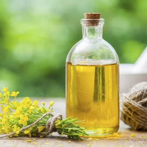 Canola Oil - Premium Quality